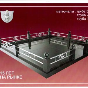 Ограда гранит с нержавейкой 3